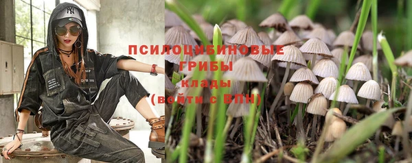 jwh Арсеньев